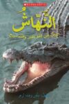 النهاش (كتاب عن التماسيح)