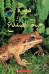 دورة حياة الضفدع