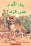 اثار اقدام على الرمال