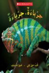 حرباءة.حرباءة