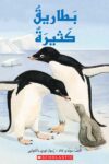 بطاريق كثيره