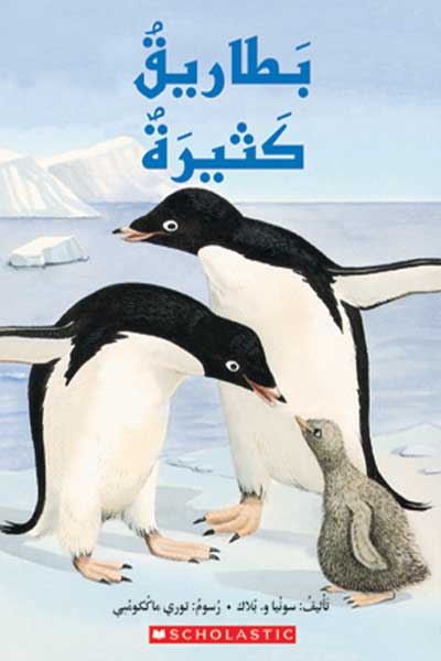 Many-Penguins-by-Polar-Animals-cover-0257 بطاريق كثيره - الصورة 1