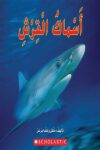 اسماك  القرش