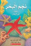 نجم البحر