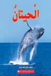 الحيتان
